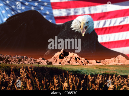 Amerikanische Symbole, Weißkopf-Seeadler & Flagge Stockfoto