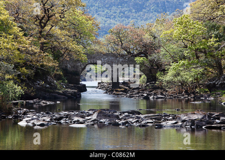 Old Weir Bridge, Treffen der Gewässer, Killarney National Park, County Kerry, Irland, britische Inseln, Europa Stockfoto