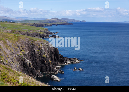 Klippen am Slea Head, Halbinsel Dingle, County Kerry, Irland, britische Inseln, Europa Stockfoto