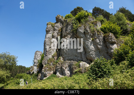 Klettern Fels Steinfelder Wand, Fränkische Schweiz, fränkische Alb, Franken Jura, Oberfranken, Franken, Bayern Stockfoto