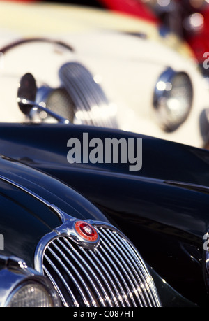 Jaguar XK150 Abzeichen und grill Stockfoto