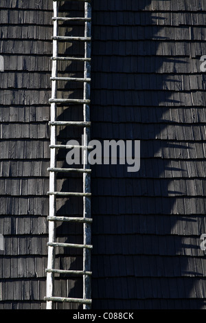 Schwarzen Schindeldach mit Holzleiter. Stockfoto