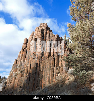 Pipe Organ Rock in Zentral-Oregon ist eine geologische Struktur von säulenförmigen Basalt vor einem bewölkten blauen Himmel mit westlichen Wacholder. Stockfoto