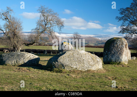 Die lange Meg und ihre Töchter Steinkreis in einem Feld in der Nähe von Penrith Stockfoto