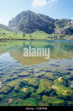 Enol See, Lagos de Covadonga, Picos de Europa National Park, Provinz Asturien, Spanien. Stockfoto