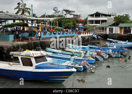 Fischmarkt Puerto Ayora Santa Cruz Insel Galapagos Inseln Ecuador Stockfoto