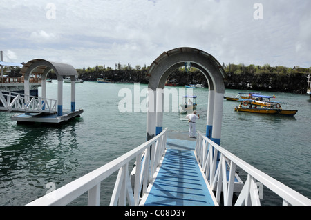 Hafensteg, Puerto Ayora, Insel Santa Cruz, Galapagos-Inseln, Ecuador Stockfoto