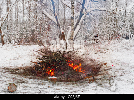 Im Winter ein Waldbrand aus Zweigen der geschnittenen Bäume Stockfoto