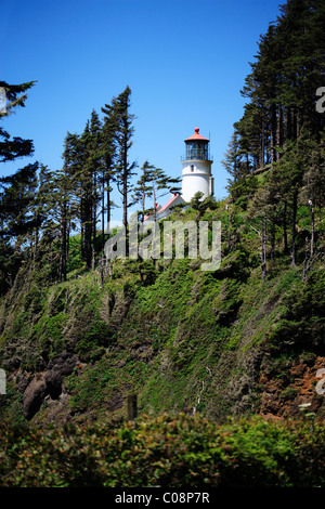Ein Blick auf das Heceta Head Leuchtturm in der Nähe von Florence Oregon Stockfoto