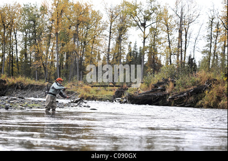 Frau Fliegenfischen und Abgüsse für wild Steelhead auf Deep Creek, Halbinsel Kenai, Alaska Yunan, Herbst Stockfoto