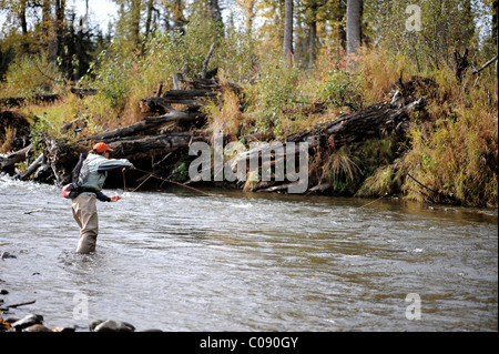 Frau Fliegenfischen und Abgüsse für wild Steelhead auf Deep Creek, Halbinsel Kenai, Alaska Yunan, Herbst Stockfoto