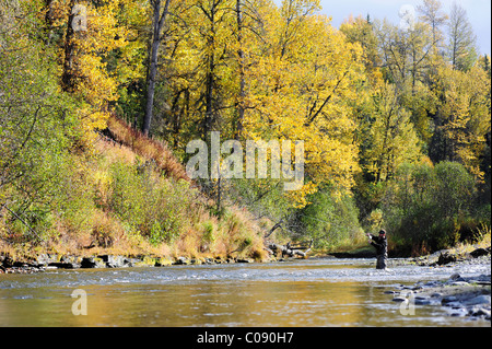 Fliegenfischer wirft für wild Steelhead auf Deep Creek, Halbinsel Kenai, Alaska Yunan, Herbst Stockfoto