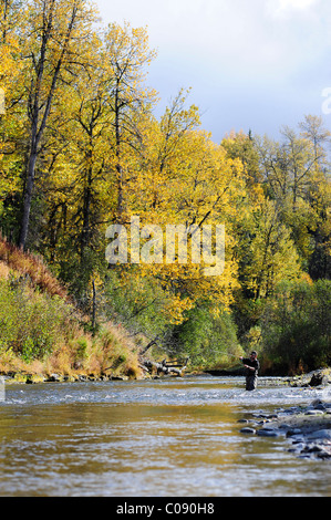 Fliegenfischer wirft für wild Steelhead auf Deep Creek, Halbinsel Kenai, Alaska Yunan, Herbst Stockfoto