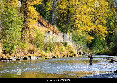 Fliegenfischer wirft für wild Steelhead auf Deep Creek, Halbinsel Kenai, Alaska Yunan, Herbst Stockfoto