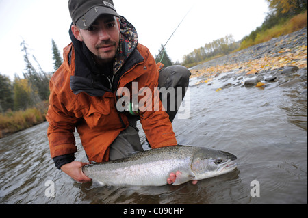 Fischer kniend im Wasser zu zeigen, eine wilde fing Steelhead in Deep Creek, Kenai-Halbinsel, Yunan Alaska, Herbst Stockfoto