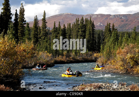 Packrafts stromabwärts Heiligtum im Denali Nationalpark, Alaska Interior, Herbst Stockfoto