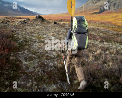 Weibliche Backpacker mit einem Packraft Wanderungen entlang des Weges zu den Quellflüssen des Heiligtums River, innen Alaska, Herbst Stockfoto