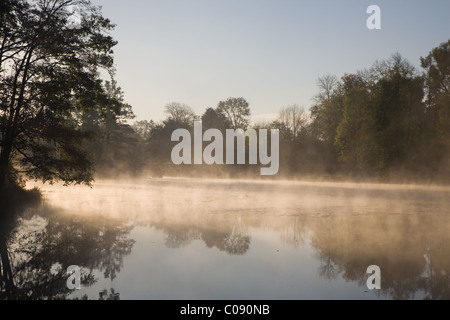 Goldenen Morgennebel über dem ruhigen Wasser des Teiches Stockfoto