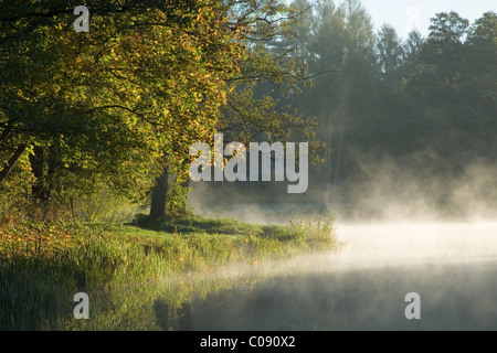 Herbstliche Bäume über ruhige nebligen Wasser und alte Gebäude im Hintergrund Stockfoto