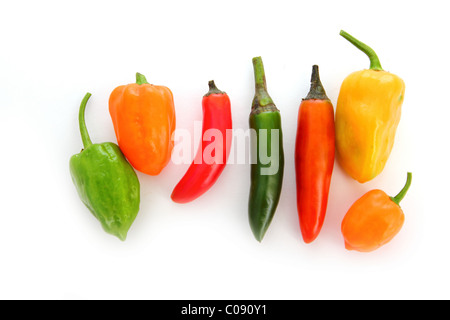 Chili Habanero Serrano heiße mexikanische Paprika gemischt Stockfoto