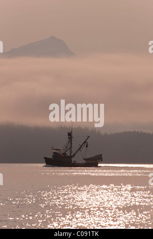 Eine kommerzielle Fischerei Seiner Fredrick Ton-und Stephens Passage, Inside Passage, Tongass National Forest, Alaska Stockfoto