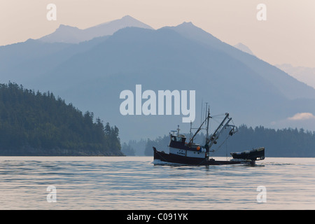 Eine kommerzielle Fischerei Seiner Fredrick Ton-und Stephens Passage, Inside Passage, Tongass National Forest, Alaska Stockfoto