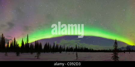 Ansicht von Northern Lights und Fichten im breiten Pass, Yunan Alaska, Winter Stockfoto