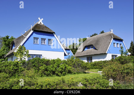 Ein traditionelles reetgedeckten Ferienhaus auf Insel Hiddensee, Landkreis Rügen, Mecklenburg-Western Pomerania, Deutschland, Europa Stockfoto