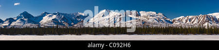 Panoramablick auf die Alaska Range Ausläufer zu Beginn des Denali Highway, Cantwell, Yunan Alaska, Frühling Stockfoto