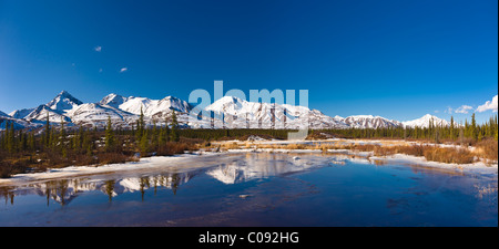 Blick auf eine kleine Streamalong der Denali Highway mit der Alaskakette Ausläufern im Hintergrund, in der Nähe von Cantwell, Alaska Stockfoto