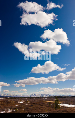 Blick auf die Alaska Range auf dem Denali Highway kurz vor den Susitna River Bridge, Yunan Alaska, Frühling Stockfoto