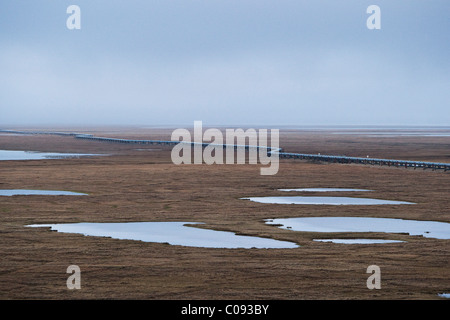 Luftaufnahme der Trans-Alaska-Pipeline, die Überquerung der Tundra der Küstenebene, Prudhoe Bay, Alaska Arktis, Sommer Stockfoto