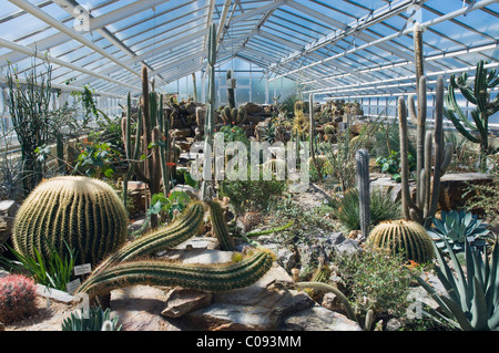 Kaktus Haus, Botanischer Garten München, Bayern, Deutschland, Europa Stockfoto