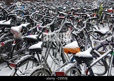 Geparkte Fahrräder bedeckt Schnee Maastricht Niederlande Stockfoto