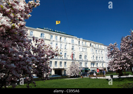 Hotel Bristol und blühende Magnolie Bäume, Makartplatz Square, Salzburg, Altstadt, Salzburger Land, Österreich, Europa Stockfoto