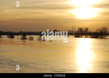 Ufer des Flusses Maas Roermond Niederlande überschwemmt Stockfoto