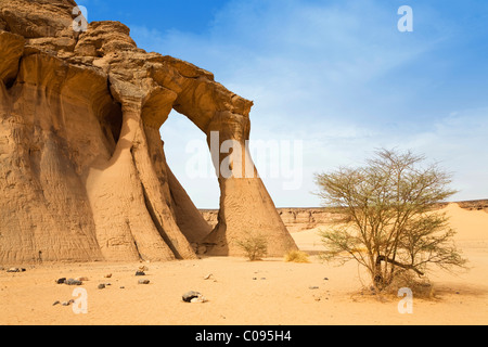 Zinn Aregha Sandstein Bogen im Akakus Gebirge, libysche Wüste, Libyen, Sahara, Nordafrika, Afrika Stockfoto