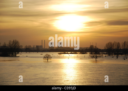 Ufer des Flusses Maas Roermond Niederlande überschwemmt Stockfoto