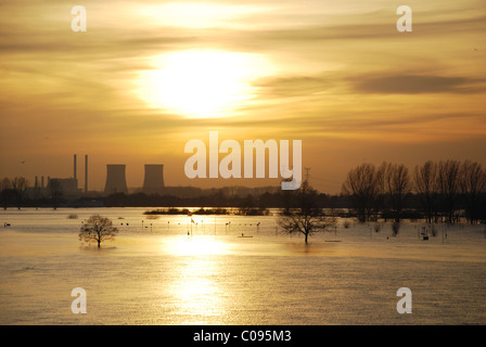 Ufer des Flusses Maas Roermond Niederlande überschwemmt Stockfoto