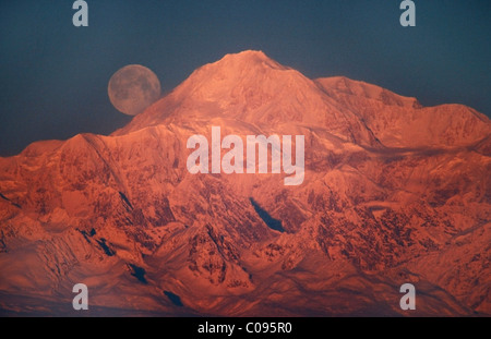 Die Vollmond-Sets hinter Mt. McKinley beleuchtet von Alpenglühen bei Sonnenuntergang, in der Nähe von Talkeetna, Yunan Alaska Stockfoto