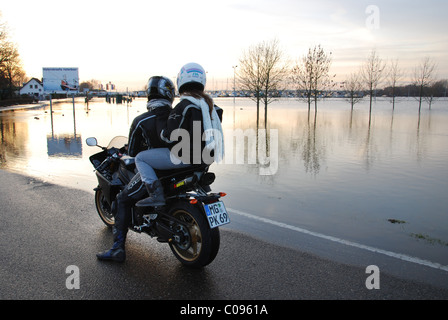 Ufer des Flusses Maas Roermond Niederlande überschwemmt Stockfoto