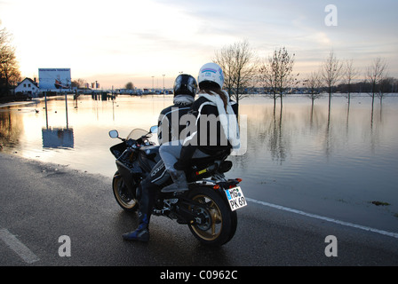 Ufer des Flusses Maas Roermond Niederlande überschwemmt Stockfoto