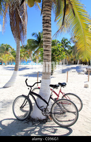 Fahrräder Bike auf Coconut Palm Tree karibischen Strand Hintergrund Stockfoto
