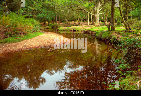 Schönen üppigen grünen Wald Szene mit Strom durch Zentrum mit Hauch von Herbstfarben im New Forest, England Stockfoto