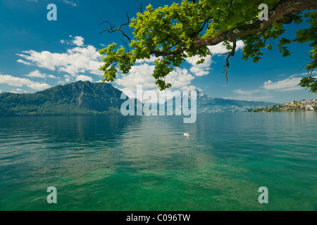 Blick über das blaue Wasser des Vierwaldstättersees auf Mt. Pilatus, Weggis, Luzern, Schweiz, Europa Stockfoto