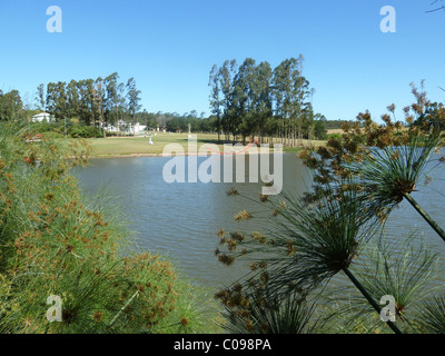 Skulpturenpark la Barra Stockfoto