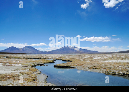 Steppe, offene Ebene, Polloquere Federn, Thermalbäder, Salar de Surire, Salzsee, Reserva Nacional de Las Vikunjas Stockfoto