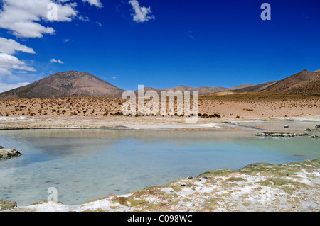 Steppe, offene Ebene, Polloquere Federn, Thermalbäder, Salar de Surire, Salzsee, Reserva Nacional de Las Vikunjas Stockfoto