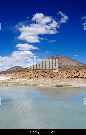 Steppe, offene Ebene, Polloquere Federn, Thermalbäder, Salar de Surire, Salzsee, Reserva Nacional de Las Vikunjas Stockfoto