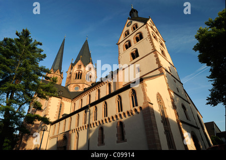 Evangelische Marienkirche, Kirche St. Maria, Gelnhausen, Hessen, Deutschland, Europa Stockfoto